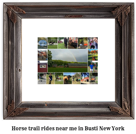 horse trail rides near me in Busti, New York